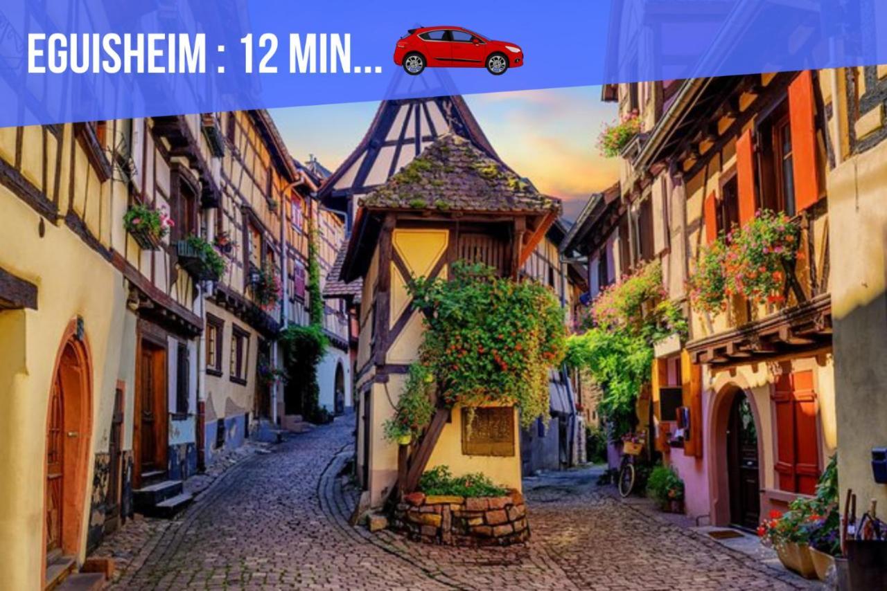 Le Blue St Leon : 2 Pieces Cozy Lit King Size Wifi Apartment Colmar Exterior photo