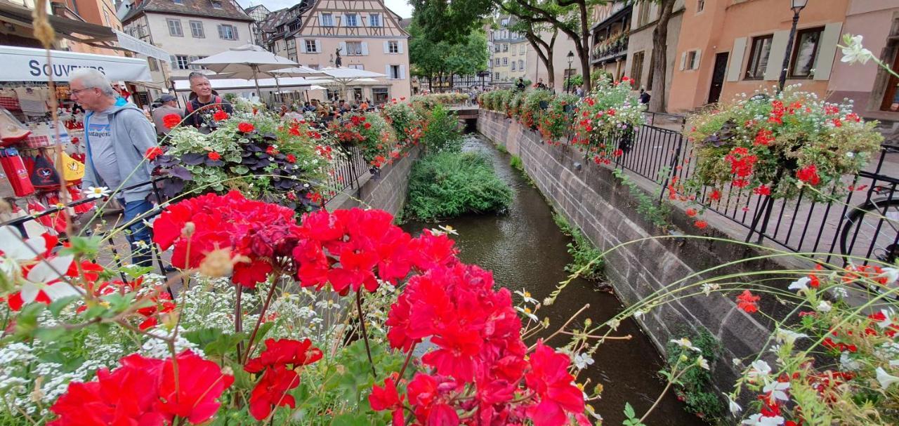 Le Blue St Leon : 2 Pieces Cozy Lit King Size Wifi Apartment Colmar Exterior photo