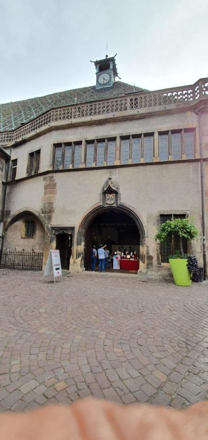 Le Blue St Leon : 2 Pieces Cozy Lit King Size Wifi Apartment Colmar Exterior photo