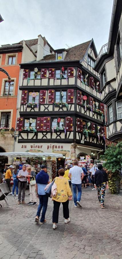 Le Blue St Leon : 2 Pieces Cozy Lit King Size Wifi Apartment Colmar Exterior photo